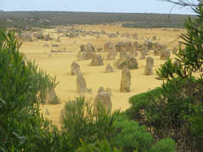 View of the Pinacles - Nambung National Park.