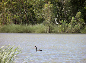 Banrock Station Wetlands. 