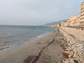 Trapani