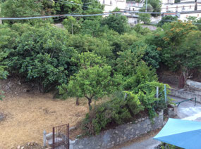 View from Capestrano house