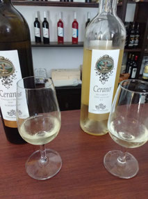 Wine tasting