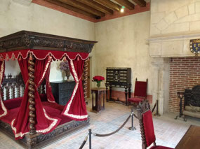 Da Vinci bed chamber