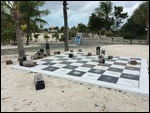Chess Set After the Wind Storm