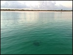 The Calm Early Morning Green Clear Water