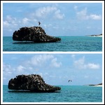 Umbrella Rock