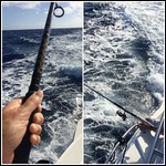 Fishing as We Go