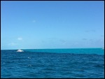 Interesting Shot of Deep Water Meets Shallow