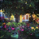 Beautiful Gardens