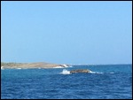 Sandy Cay Dive Site