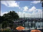 View of Marina from the Marina Bar