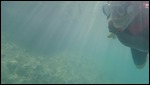 Marjorie Snorkeling