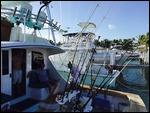 Our Neighbours Boat