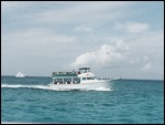 Snorkel Tour Boat