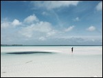 Shell Beach