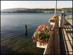 The shores of Lake Zurich. 