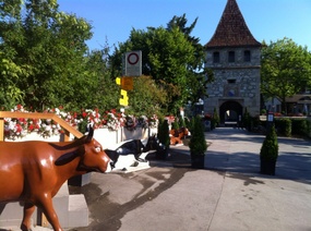ENTRANCE TO RHINE FALLS