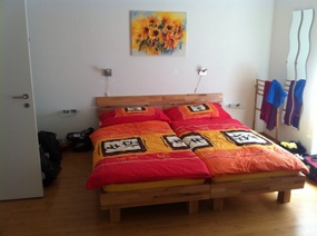 ONE ROOM APARTMENT IN BASEL. 