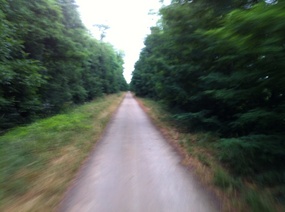CANAL PATH, FLAT AND STRAIGHT