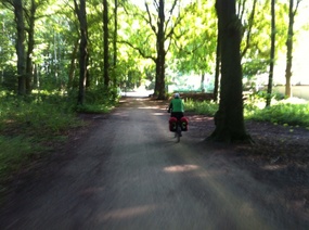 RIDING IN THE FOREST NTH OF THE HAGUE
