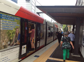 Fred catching the Sydney light rail