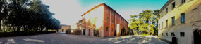 Borgi De Colleoli