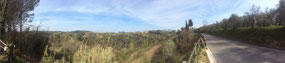 Tuscan panorama