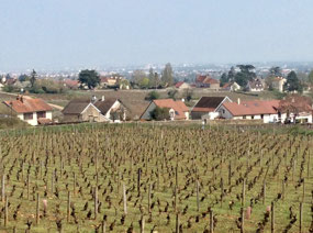 Couchey Burgundy