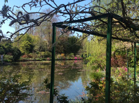Jardin D’Eau Claude Monet