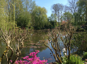 Lilly pond at Claude Monet’s Maison De Jardin