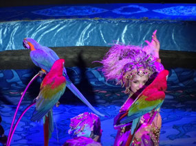 Macaws Moscow Circus