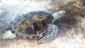 One of the patients