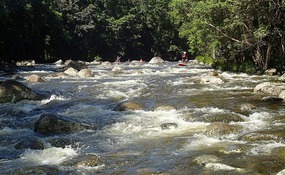 SUP group paddling the Mossman River