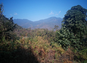Hills and Hills