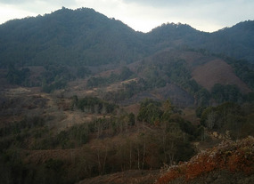 Rolling hills