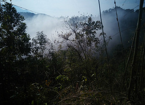Morning mist in the valley as you climb the road