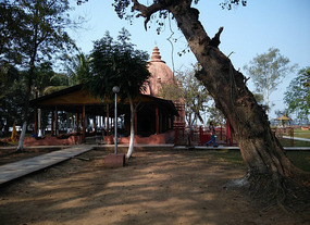 Devidhol