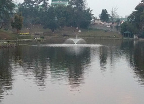 Ward's Lake