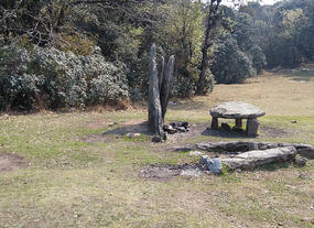 Monoliths in front of the grove