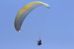 Soaring in the sky