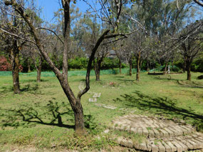 The view from the front window of my room