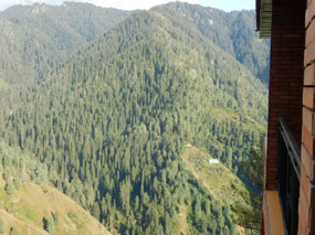 View from my room balcony