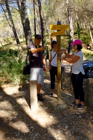 Finger post