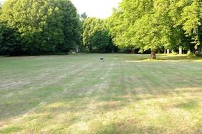 Is there enough room for a picnic?