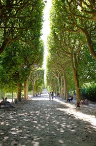 Beautiful Paris