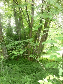 Getting lost in the greens