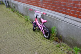 They start young