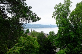View from the tower