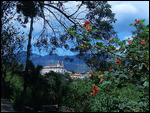 one of the 30 or so churches in Ouro Preto!