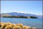 Wakatipu 5
