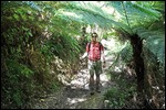 Hiking the track